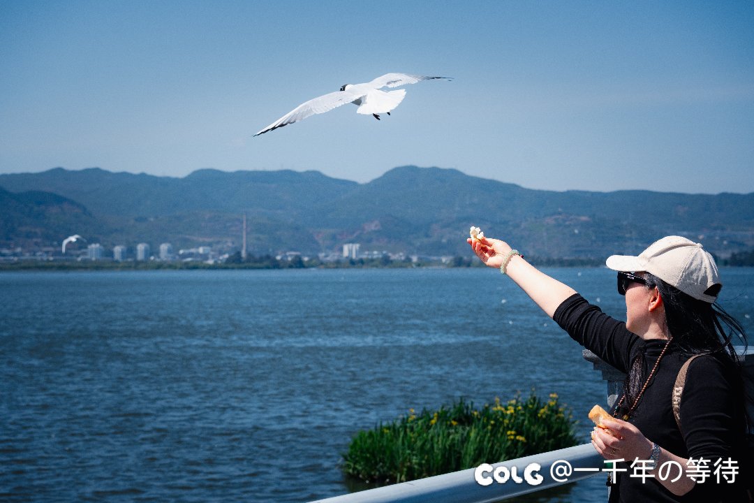 龙门原来就这么小一个……4