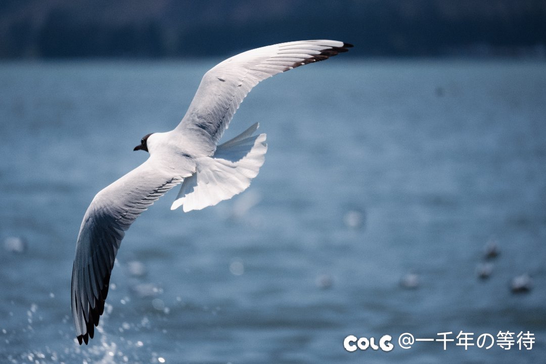 龙门原来就这么小一个……9