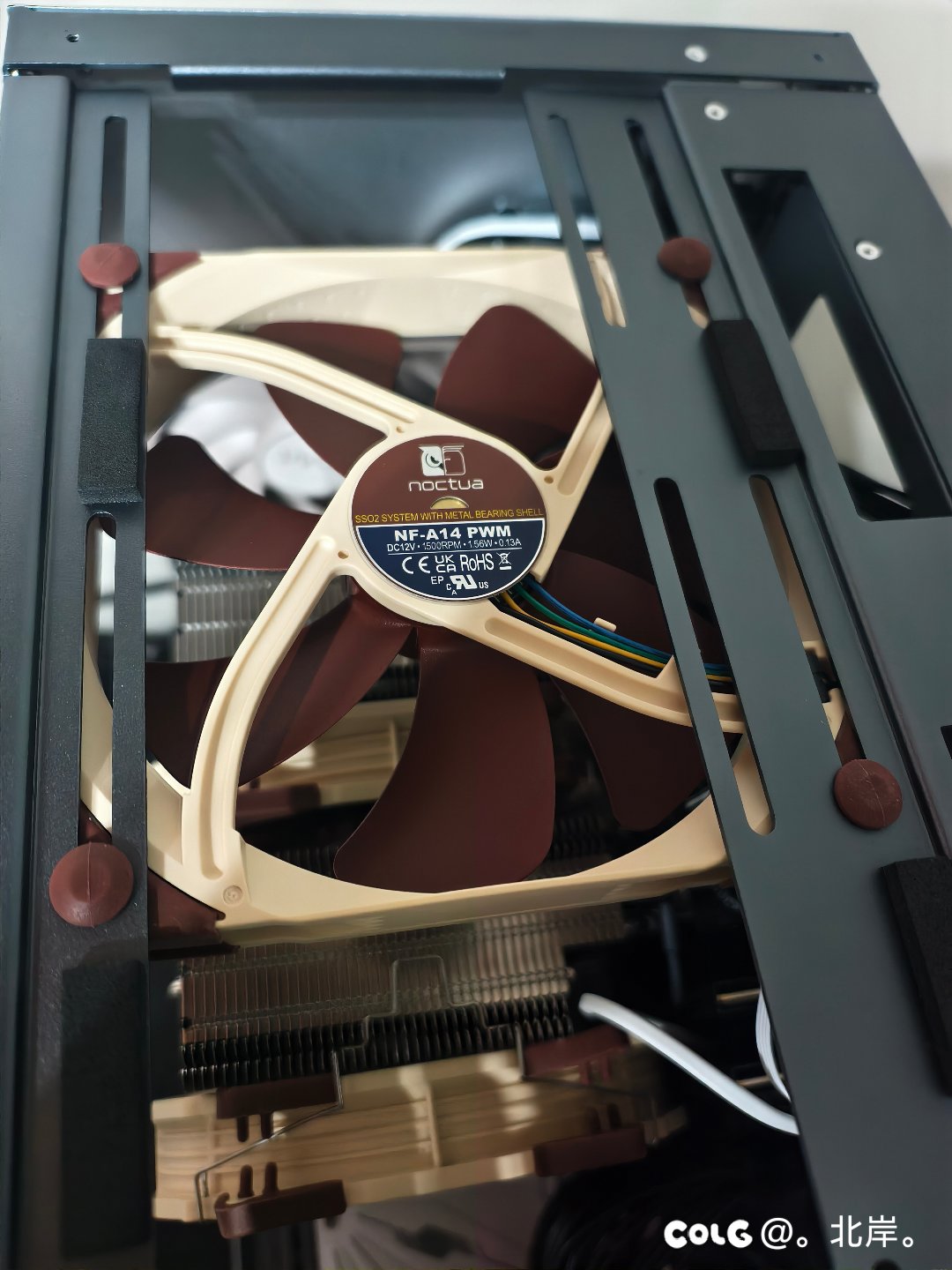 猫头鹰这个胶钉真的是反人类1