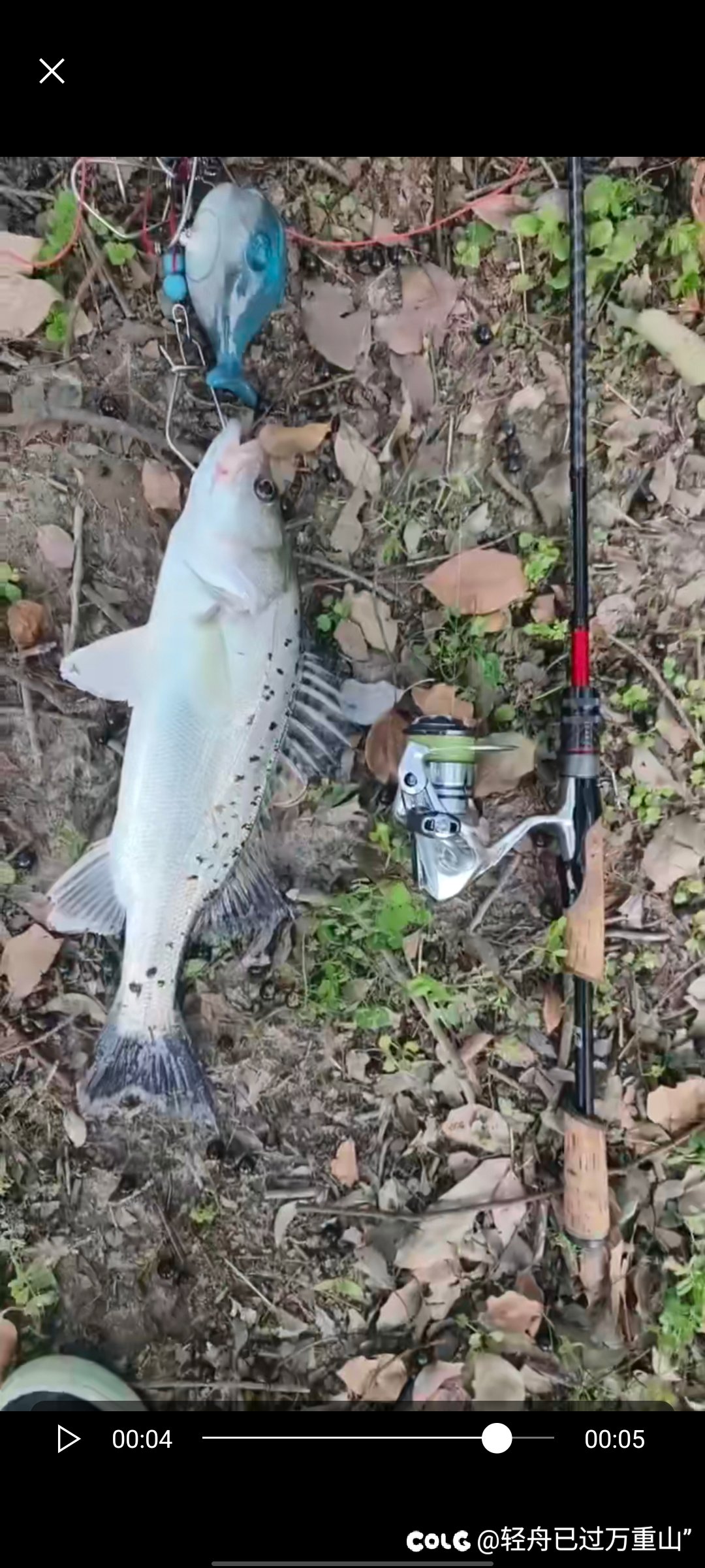 嘻嘻૮(˶ᵔᵕᵔ˶)ა1