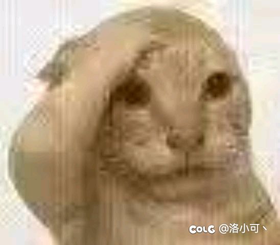 中高配团噩梦塞加普就非要太阳硬打？1